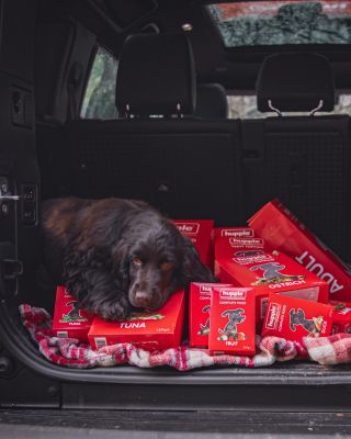 Takto od nás dnes odjížděl spokojený zákazník 🚗🐾 Kufr plný skvělého krmiva a pamlsků od Hupple – od tuňáka po hovězí...