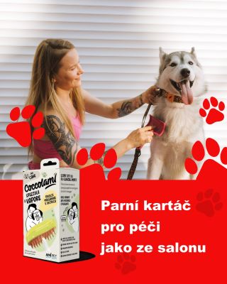 ✨ Novinka, ze které máme obrovskou radost! ✨ Našli jsme něco, co si naši chlupáči zamilují – parní kartáč od italské...
