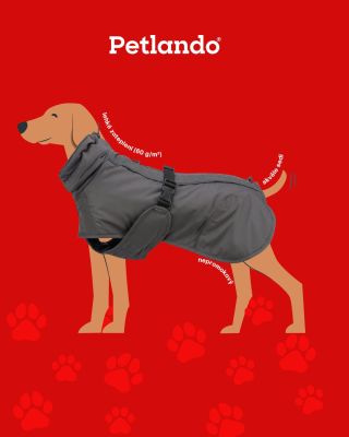 ☁️🐾 Podzimní vítr, mokrá tráva a ten pohled tvého pejska, když se mu nechce z tepla postele ven... Znáte to? S kabátkem...