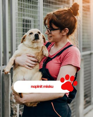 Spouštíme krásný projekt, který pomůže těm, kteří si sami už říct neumí – pejskům z organizace Psí senioři v nouzi, z. s....