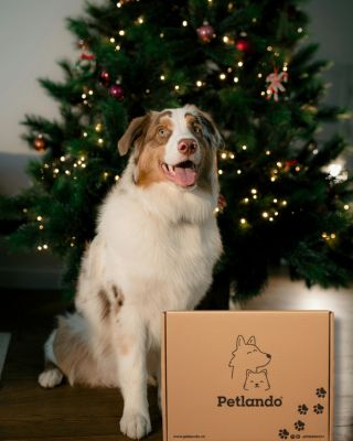 Váháte, co koupit vašemu pejskovi nebo pejskovi vašich nejbližších? Ušetřete čas a objednejte si kompletní dárkový...