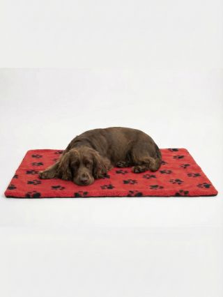 Hledáte pro svého chlupáče ten nejpohodlnější pelíšek na světě? VetBed je volba číslo 1 — funkční, hřejivý,...