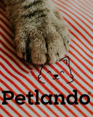 Do nového roku Vám přejeme hlavně zdraví, klid a pohodu. Ať je Váš domov místem, kde se dobře cítíte Vy, Vaši psi i kočky...